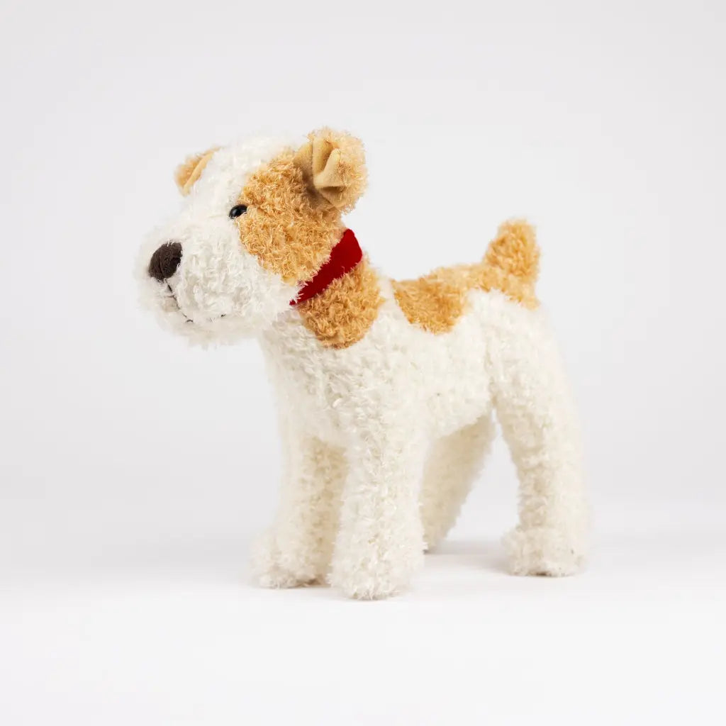Eliot the Dog